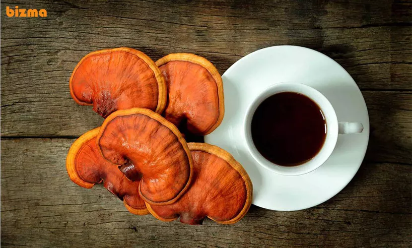 کدام قهوه گانودرما برای کاهش وزن خوب است