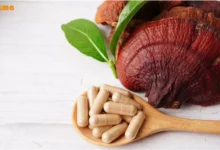 عوارض قارچ گانودرما؛ آسیب هایی که تابه حال نمی‌دانستید!