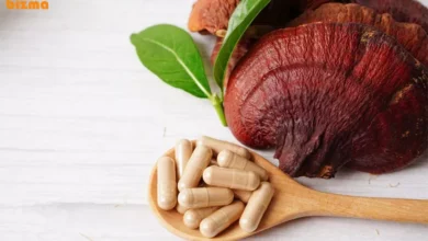 عوارض قارچ گانودرما؛ آسیب هایی که تابه حال نمی‌دانستید!