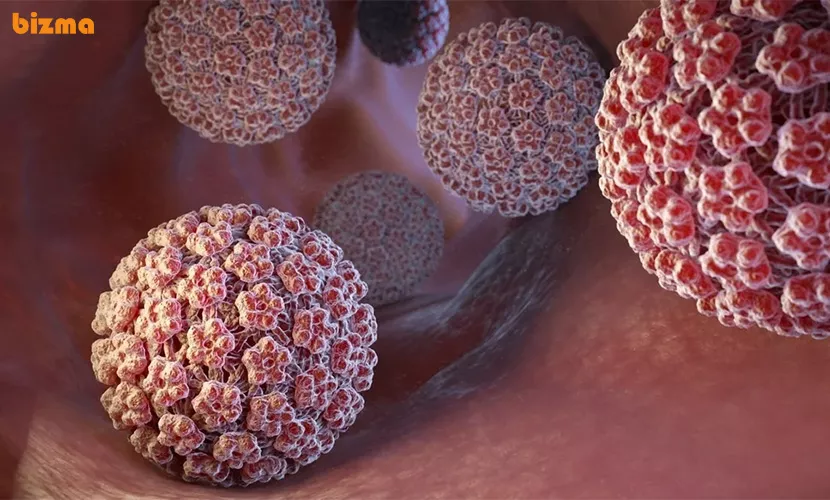 آیا زگیل تناسلی درمان دارد؟