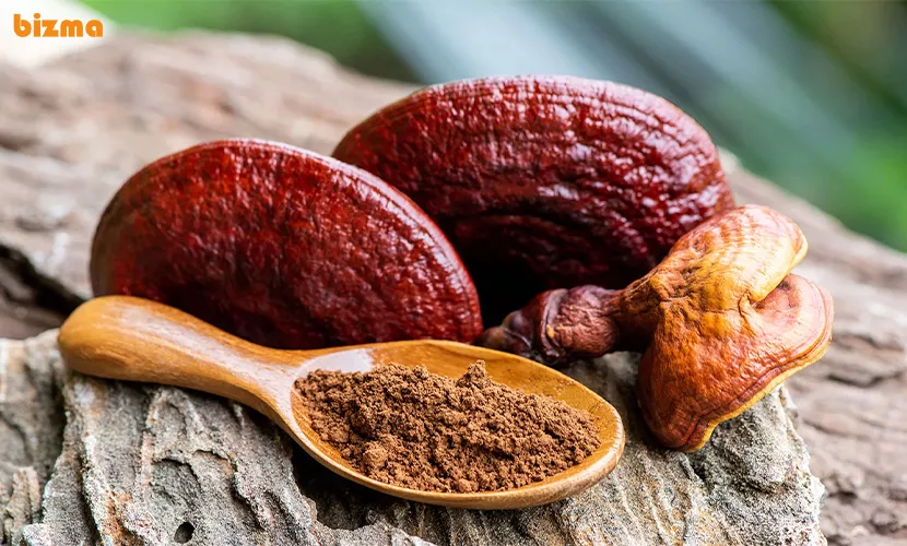 جلوگیری از عوارض قارچ گانودرما