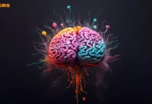 علائم بیماری آلزایمر