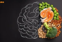 ۷ خوراکی که برای تقویت حافظه