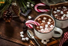 افزایش وزن و چاقی با هات چاکلت گانودرما