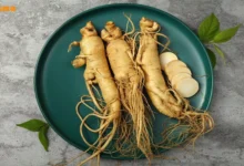 خواص جینسینگ برای لاغری