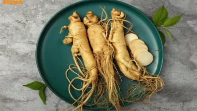 خواص جینسینگ برای لاغری