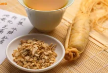 جینسینگ چیست