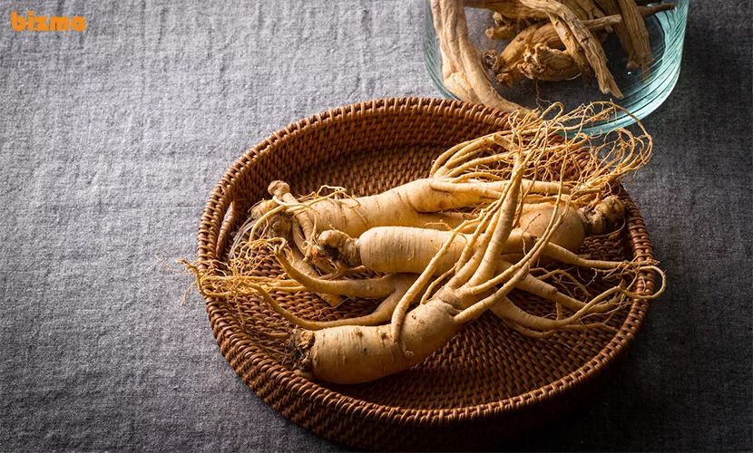 فواید و مضرات جینسینگ