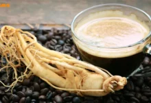 خواص قهوه گانودرما و جینسینگ
