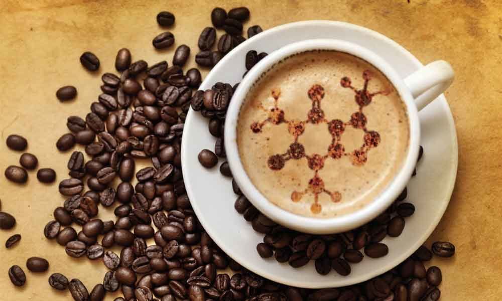 عوارض قهوه گانودرما چیست و چه افرادی نباید استفاده کنند! | بیزما مگ