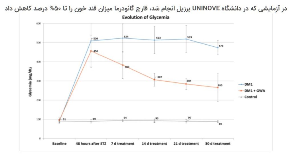 گانودرما و دیابت نوع دو