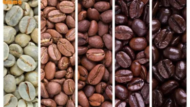 آشنایی با انواع قهوه