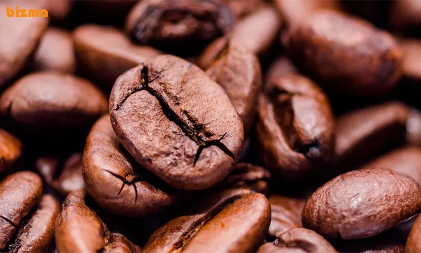 خواص قهوه عربیکا