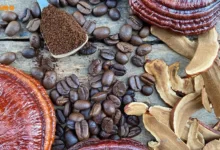 عوارض قهوه گانودرما دکتر بیز برای لاغری