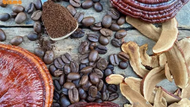 عوارض قهوه گانودرما دکتر بیز برای لاغری