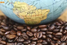 آمار مصرف قهوه در ایران و جهان