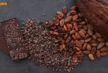 خواص پودر کاکائو