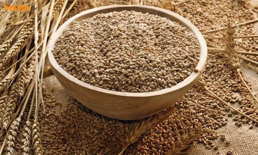 خواص سبوس جو