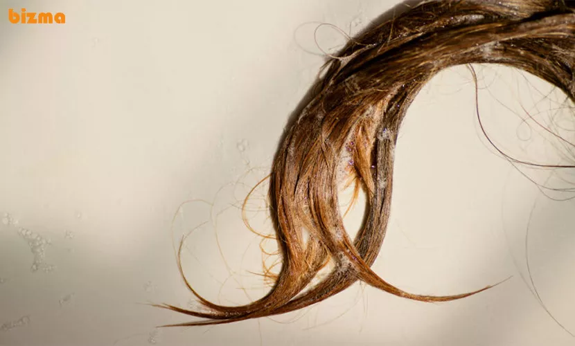 بهترین شامپو ضد ریزش مو حاوی کافئین