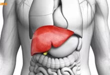 علائم سرطان کبد؛ دلایل، تشخیص و درمان
