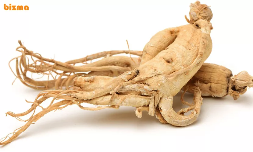 فواید شامپو و نرم کننده مو حاوی جینسینگ