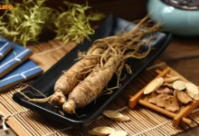 فواید جینسینگ و شامپو جینسینگ برای مو / طرز تهیه ماسک موی جینسینگ