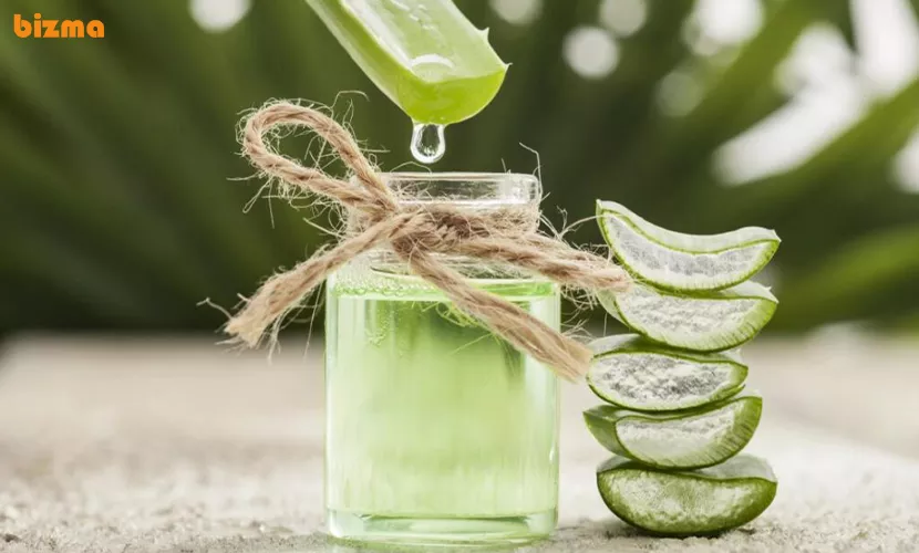 خواص آلوئه ورا برای مو