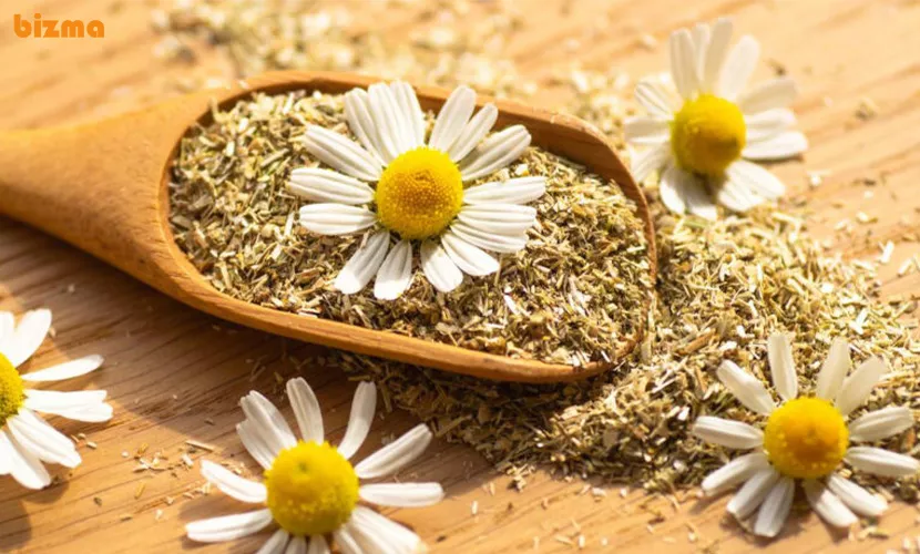 طرز تهیه ماسک بابونه