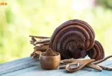 انواع قهوه گانودرما دکتر بیز