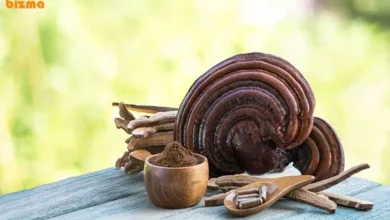 انواع قهوه گانودرما دکتر بیز