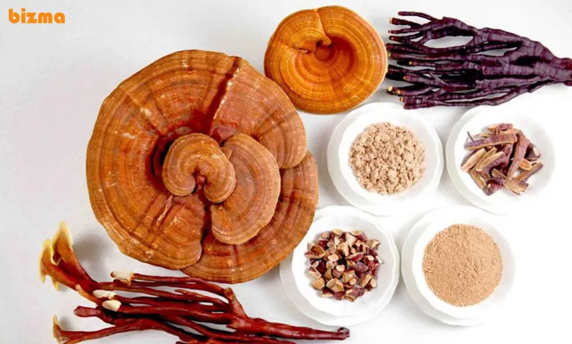 عوارض گانودرما‌‌‌ چیست