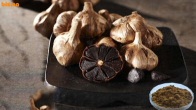 طریقه مصرف سیر سیاه دکتر بیز برای لاغری