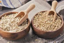 سبوس چند غله دکتر بیز برای لاغری؛ بهترین زمان و طریقه مصرف