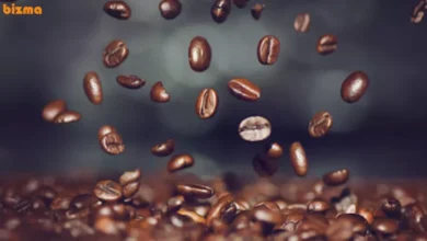 طبع قهوه گانودرما سرد یا گرم است