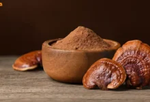 قارچ گانودرما از نظر دکتر خیراندیش، پزشکان و مردم