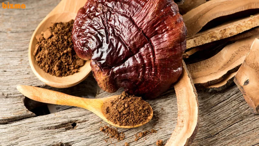 نظر پزشکان در مورد خواص قارچ گانودرما