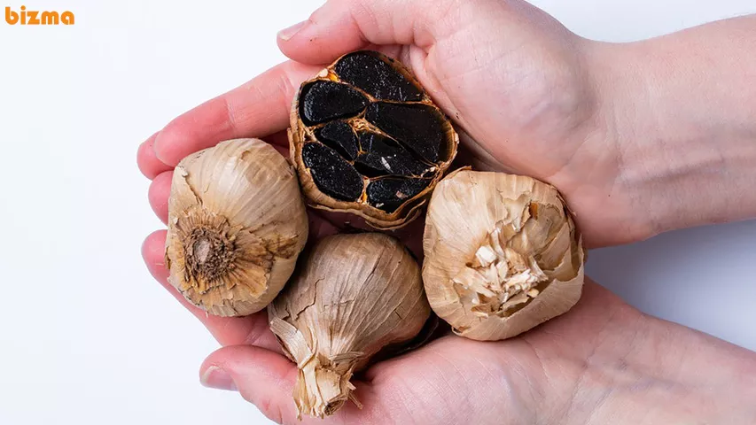 طریقه مصرف سیر سیاه و بهترین زمان مصرف 3 طریقه مصرف سیر سیاه برای لاغری، زگیل تناسلی، کبد چرب، فشار خون، مو، پیسی و ریش