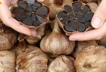 سیر سیاه برای چه کسانی ضرر دارد