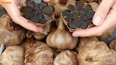 سیر سیاه برای چه کسانی ضرر دارد