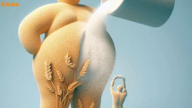 پودر جوانه گندم بعد از چند روز چاق می‌کند