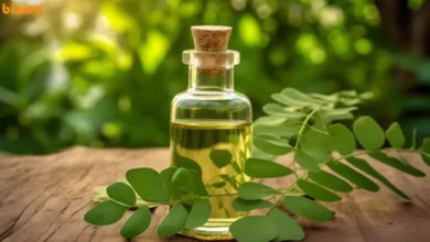 روغن مورینگا چیست
