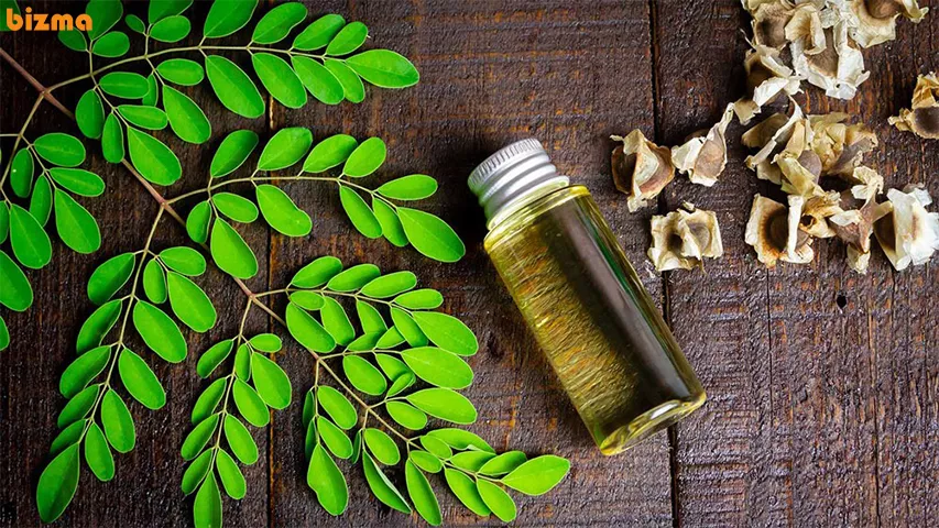 خواص روغن مورینگا برای پوست و مو