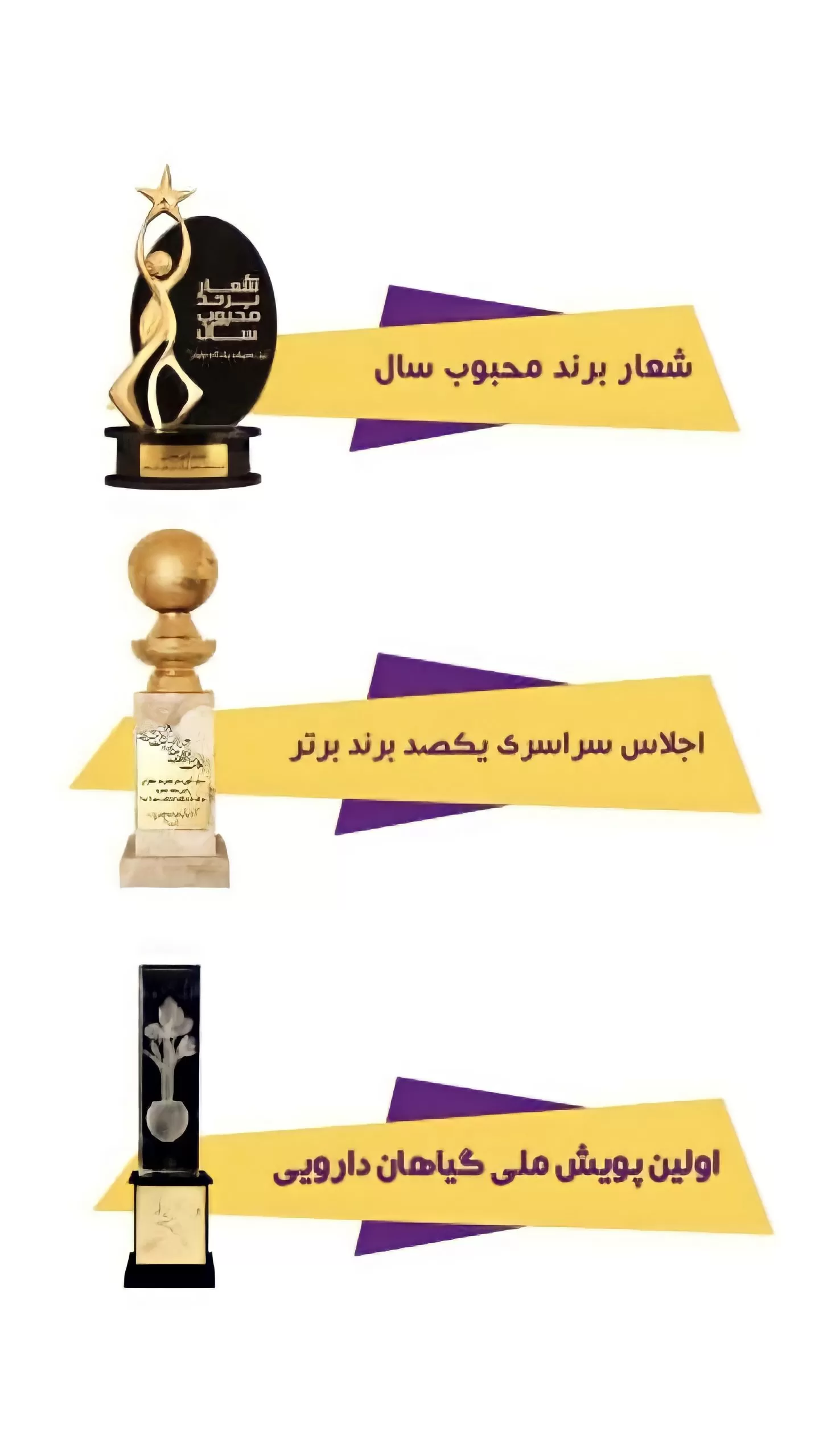 افتخارات و جوایز بیز