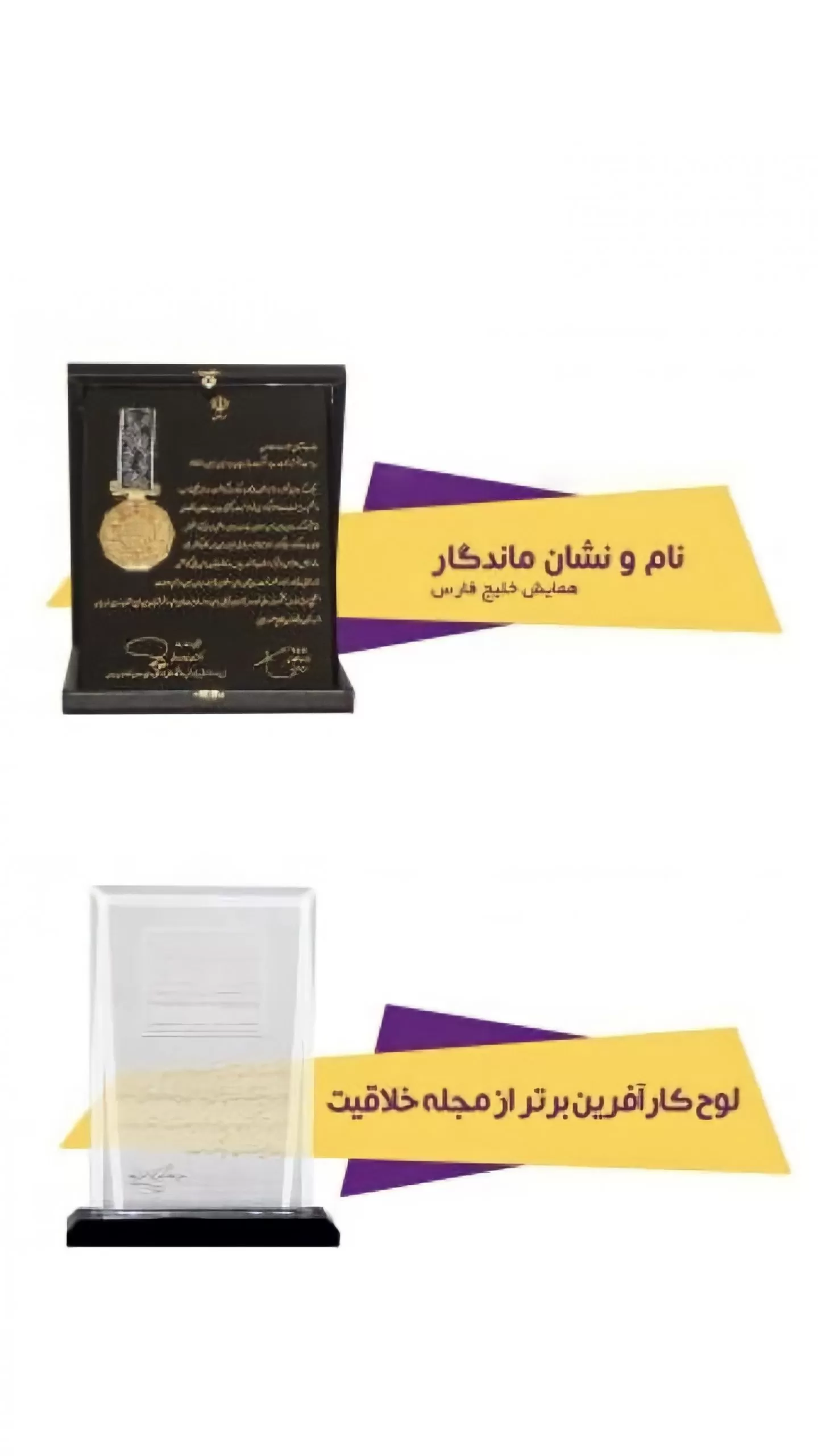 افتخارات و جوایز بیز