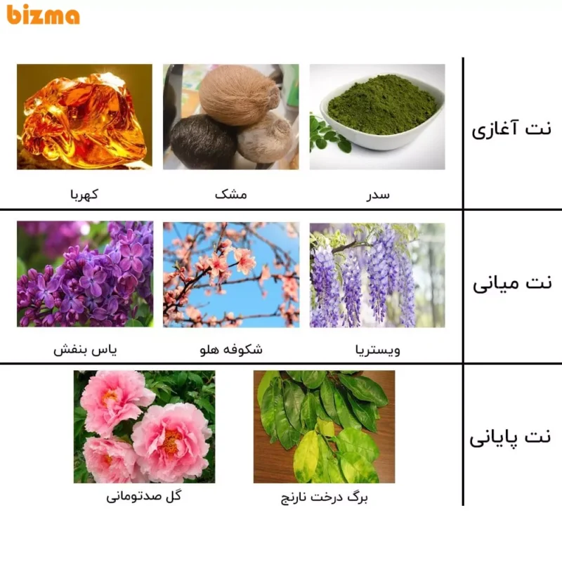 ادوپرفیوم زنانه نیفتی مدل اکلت حجم 100 میلی‌لیتر