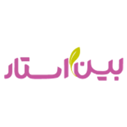 بین استار