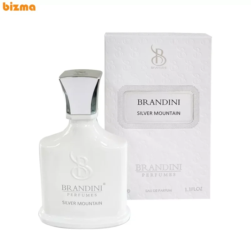 عطر جیبی  برندینی مدل Silver Mountain حجم 33 میلی لیتر